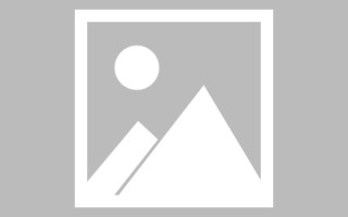 邹城玉兔网站制作头像app（玉兔素材抠图）
